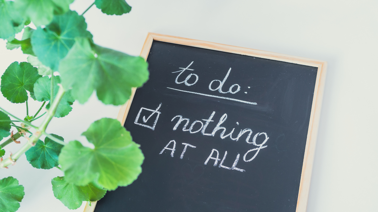 The Hidden Power of Doing Nothing: Why Your Brain Needs Real Breaks What Actually Happens When You Do Nothing